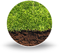 Sod Installation