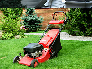 Commercial Maintenance, Charleston, SC